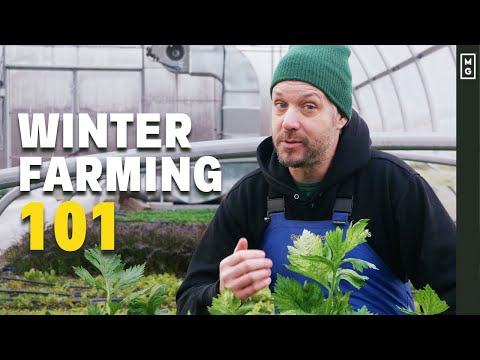 How We Grow Food When It's FREEZING -20F! Winter Farming Tips ❄️