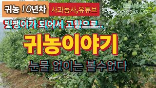 귀농 10년차 농부의 귀농 스토리/빛쟁이가 되어서 고향으로/눈물 없이는 못보는 이야기