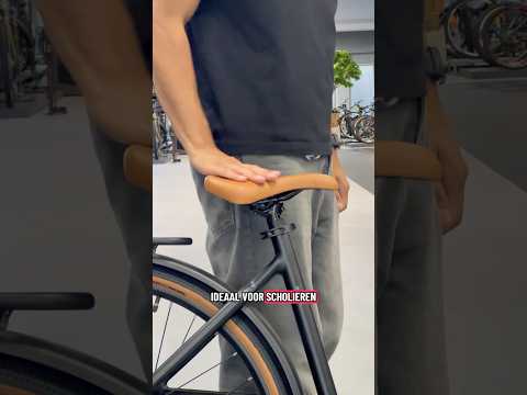 Video thumbnail: Altec Dance Elektrische Damesfiets 28 inch 48cm Belt