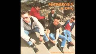 Morrissey - Sing Your Life (Rockabilly Version)