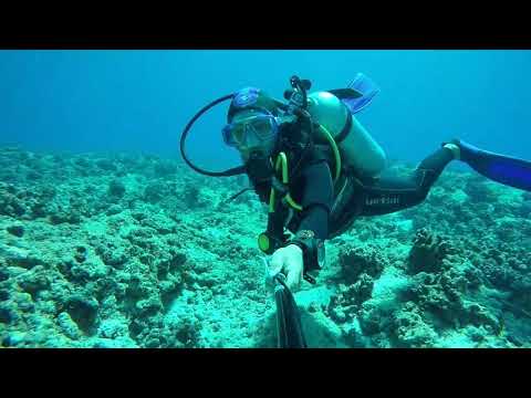 Drifting, Tikehau pass, Tikehau, French Polynesia,  Aug 2017
