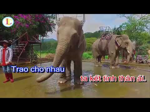 Bốn Phương trời - Karaoke Beat không lời nhạc chuẩn hay
