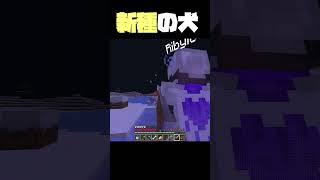 【新種の犬】マインクラフト