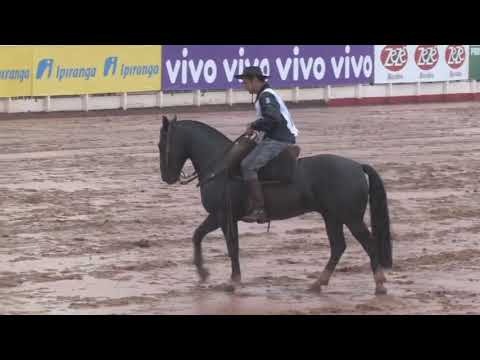 Destaque da Maior Video 3'