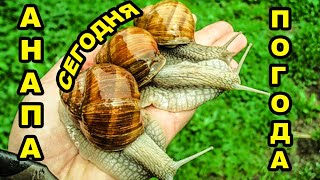 АНАПА апрель 2018 ПОГОДА НА ЧЕРНОМ МОРЕ пляж на Анапке детский парк развлечений РЕЛАКС ЗВУКИ ПРИРОДЫ