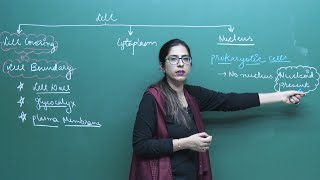 NEET Biology | Components of Cell | Theory & Problem-Solving | In English | Misostudy