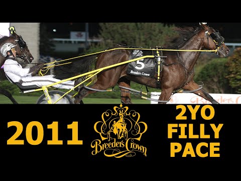 2011 Breeders Crown - Economy Terror - 2FP