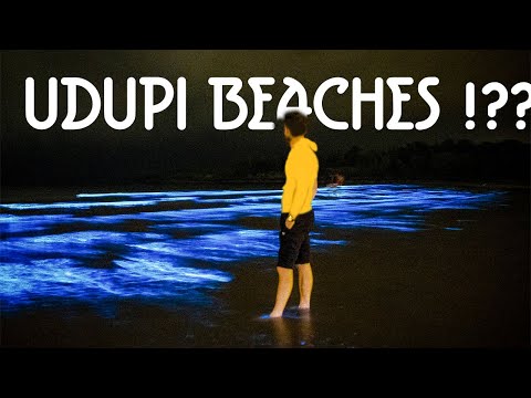 Bioluminescent waves at Udupi beaches - Bioluminescence Effect - കവര് പൂത്തപ്പോൾ