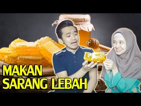 MAKAN SARANG LEBAH ASLI 😱