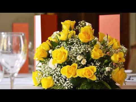 18 Yellow Roses  - Bobby Darin: with Lyrics(가사번역)