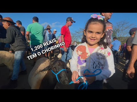 FEIRA DE ANIMAIS DA VILA JERIMUM T.N-PE A 14/06/2026 