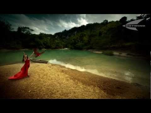 ALEX Q - BAUCHGEFÜHL