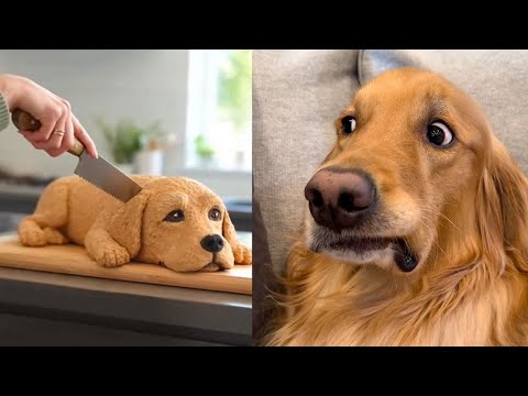 Pets Reactions to Cutting the Cake that Looks Similar to Them 😹