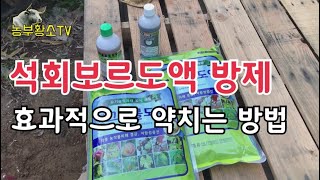 복숭아 병해충방제/ 석회보르도액 살포 시기 / 약 잘치는 방법