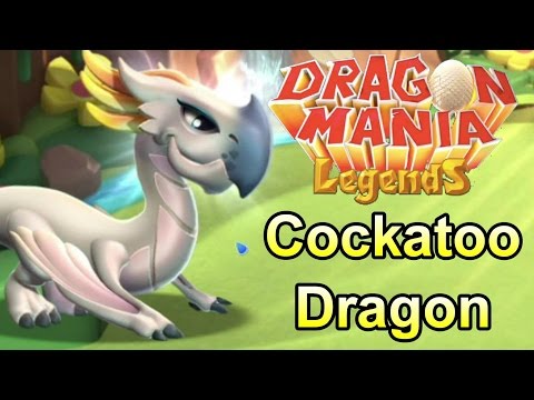 How to Breed the COCKATOO Dragon! - Dragon Mania Legends (Enchantment Breeding Guide)