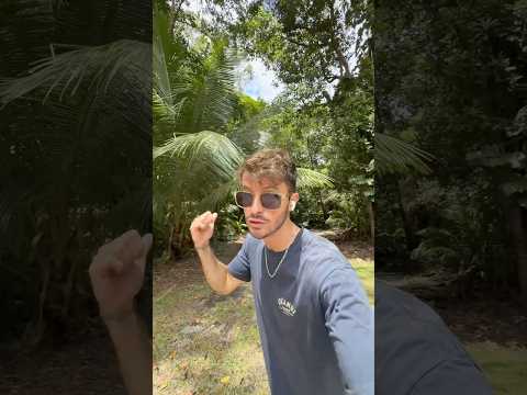 Un énorme animal dans une forêt en Australie 😱