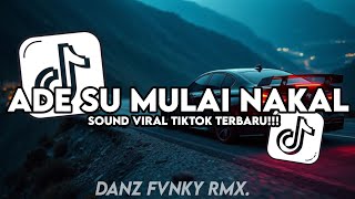 Download lagu DJ ADE SU MULAI NAKAL MASHUP ( SLOWED & REVERB ) || SOUND VIRAL TIKTOK TERBARU mp3