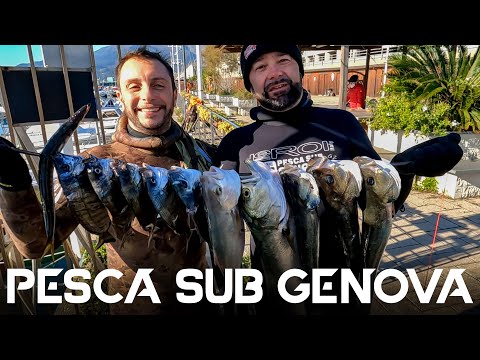 Pesca Sub Genova - La vendetta del Maestro