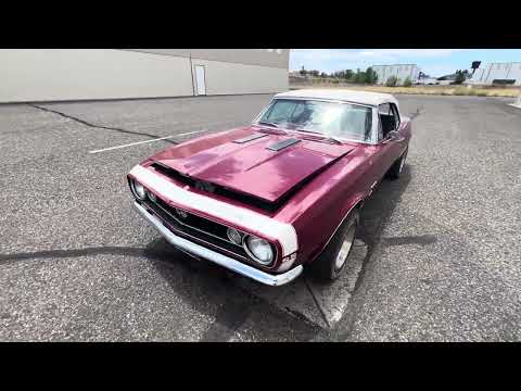 1967 Chevrolet Camaro SS (CC-2044677) for sale in Prescott, Arizona