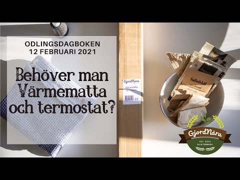 Behöver man en Värmematta till förodlingen? - Odlingsdagboken 2021-02-07