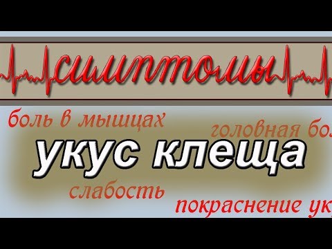 Болит спина и шея к какому врачу Лечение суставов в сочи санатории
