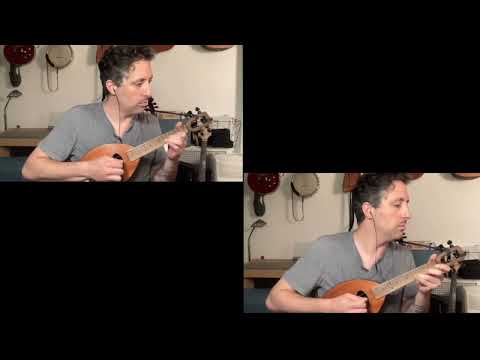 Magic Fluke Mandolin 2022 Chestnut | Reverb