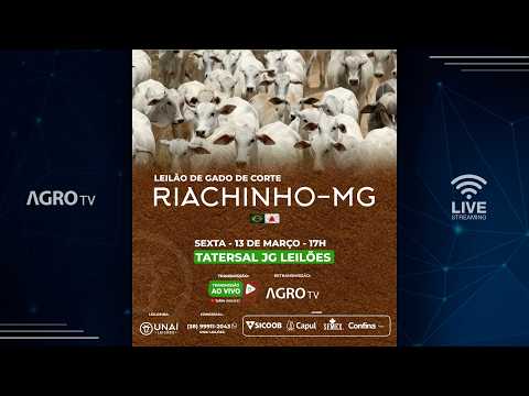 UNAÍ LEILÕES - RIACHINHO MG - 13/03/2026