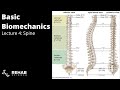 Biomechanics Lecture 4 - Spine