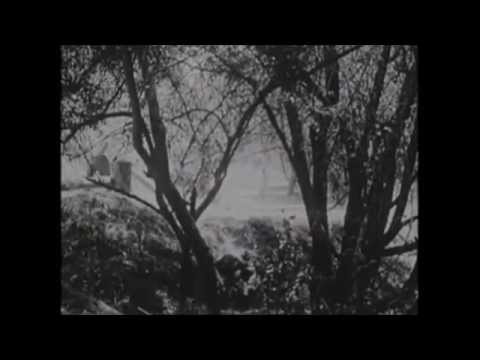 Fallen Stars Forgotten - Everything