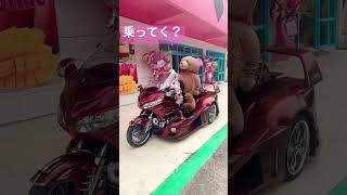 【乗り物大好きなおりさ】沖縄Pink Marine Cafe