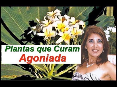 download lagu mp3 mp4 Agoniada, download lagu Agoniada gratis, unduh video klip Agoniada