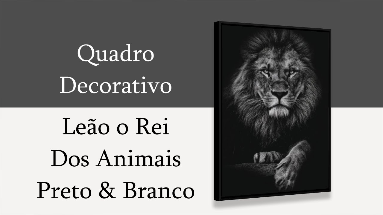 Watch Now Quadro Decorativo Leão o Rei dos Animais Preto & Branco Quadro Decorativo Leão o Rei dos Animais Preto & Branco