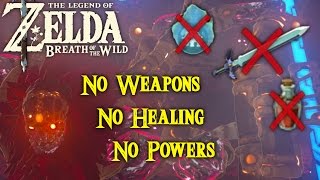Zelda: Breath of the Wild - Beating Calamity Ganon only using the Shield