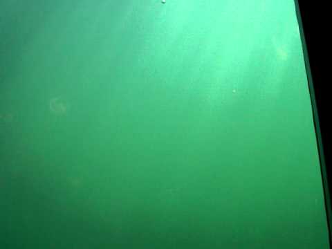 Tauchgondel Sellin(beste Sicht)