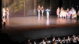 Variação masculina Pas de trois do lago dos cisnes - David