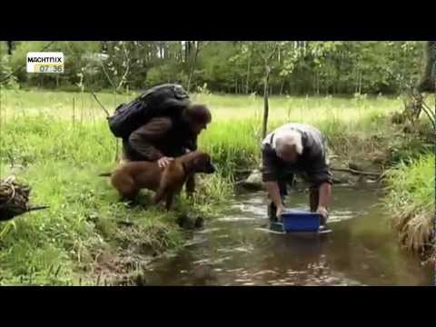Youtube Kacke - Andreas Kieling - Auf der Fährte der Bache