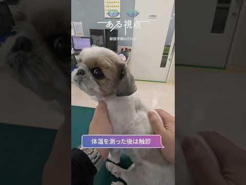 先端経営学科 「ある視点」酪農学園大学の日常 #獣医師