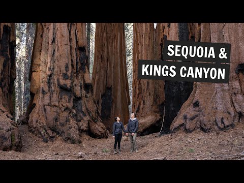 TWO National Parks in TWO DAYS: Sequoia and Kings Canyon
