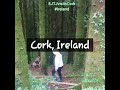 INTRO Stroll About CORK IRELAND