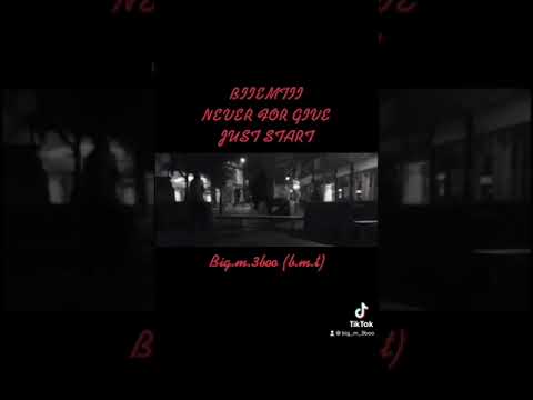 BIIEMTII. Lepujt e Estrades