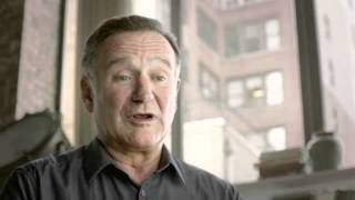 The Legend of Zelda: Four Swords Anniversary Edition (DSiWare) Robin Williams Advert 2