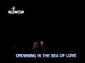 Boz Scaggs Drowning In The Sea Of Love [Live] 1993.3.28 NHKホール