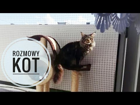 Wpadać kres kupić krem w Jarosławiu Krasnodar kości stopy