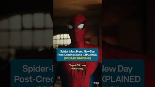 Spider-Man Post-Credit Scene Explained — Full Breakdown & Transcript