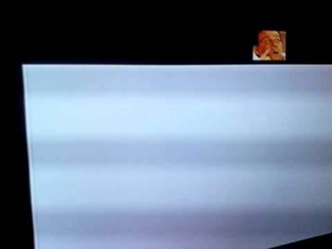 R.I.P screxpuma rata miedosa