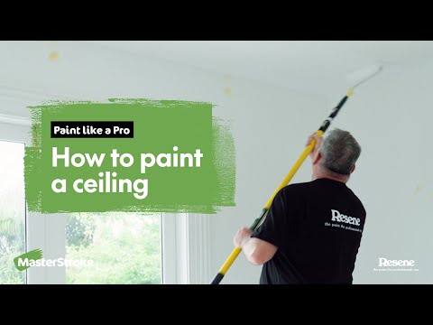 Paint like a Pro - How to paint a ceiling