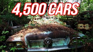 Exploring The WORLDS LARGEST Classic Car Junkyard! - HRPT Day 5