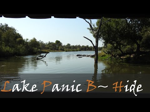 Lake Panic Bird Hide Video, Near Skukuza | Kruger National Park Bird Hides | Stories Of The Kruger