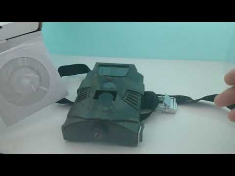 Бюджетная Фотоловушка HT-001 с Алиэкспресс. Что она может? Фото и Видео!