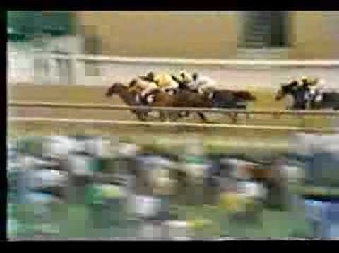1975 Preakness Stakes